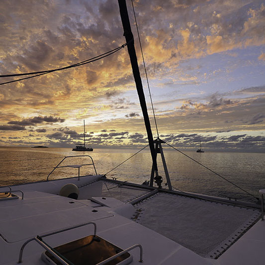 Beautiful black and white seabird with yellow beak perched on white boat equipment against deep blue ocean waters - representing the abundant marine wildlife and authentic nature encounters guests experience on Breaking Free Sailing adventures
