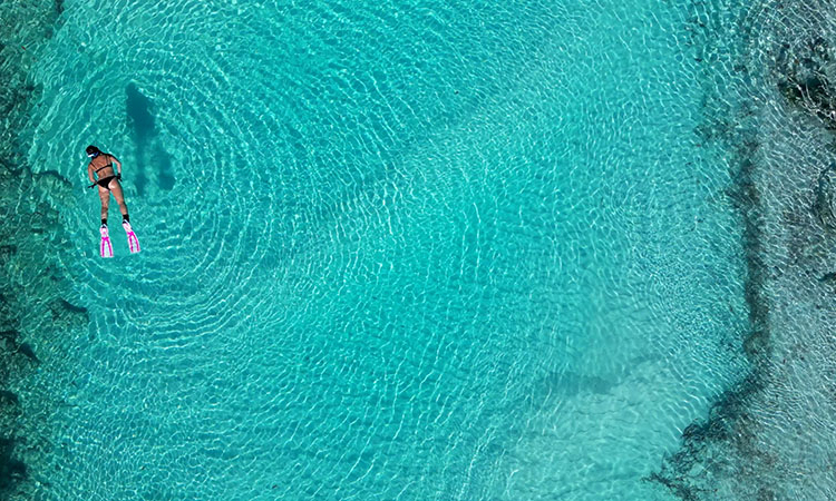 4 Day Mini Experience